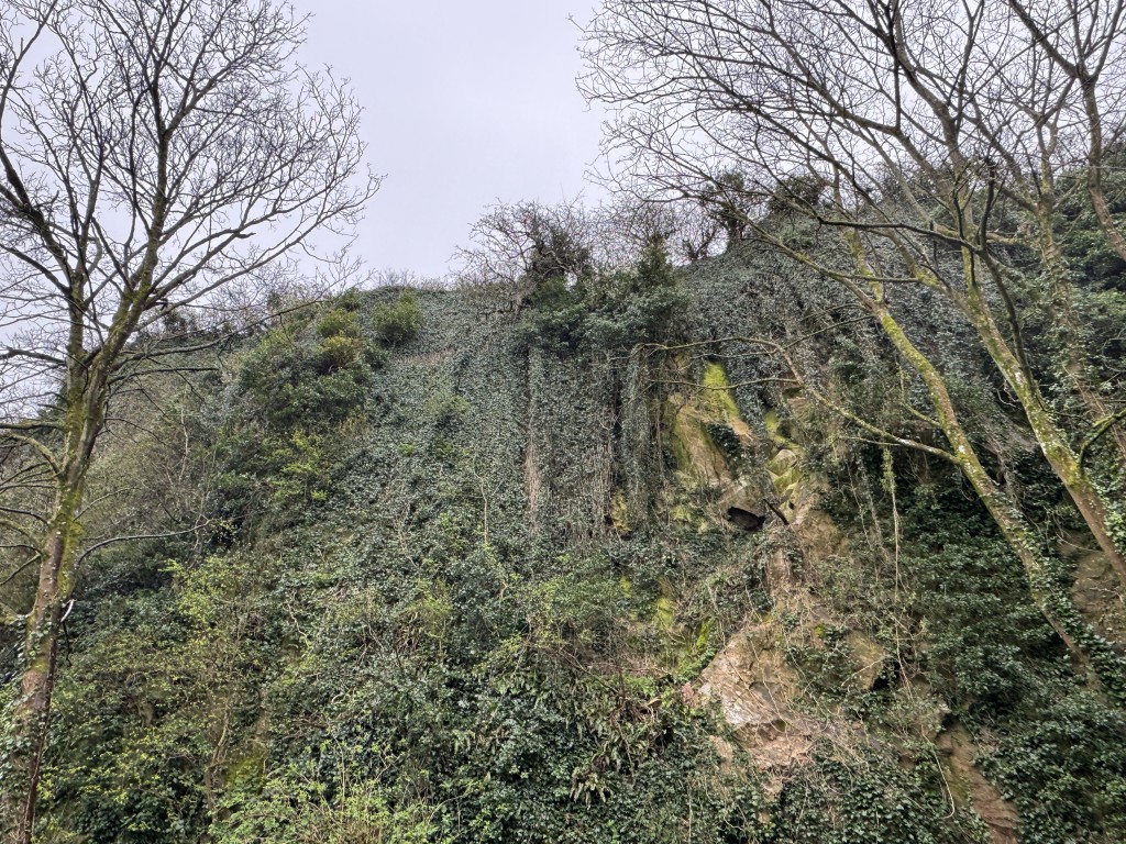 Lot: 94 - FREEHOLD CLIFF FACE - View of the cliff 2